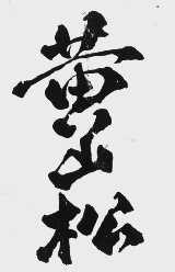 黄山松