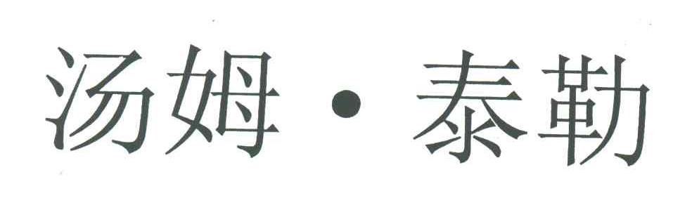 汤姆.泰勒