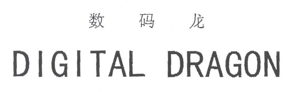 DIGITAL DRAGON 数码龙