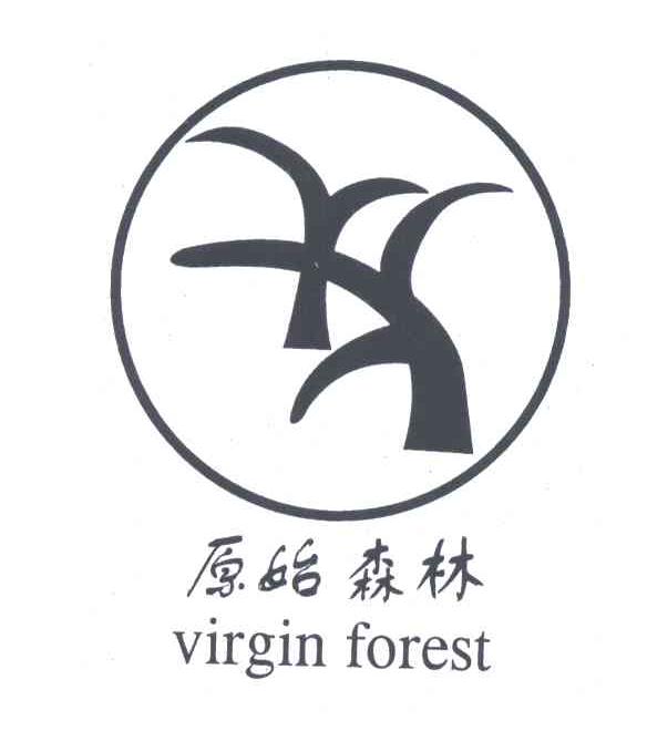原始森林;VIRGIN FOREST