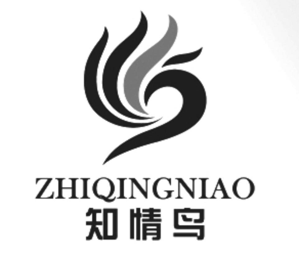 知情鸟