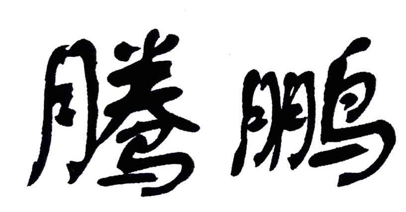 腾鹏