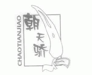 朝天骄