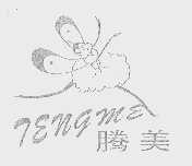 腾美   TENGME