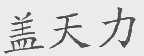 盖天力