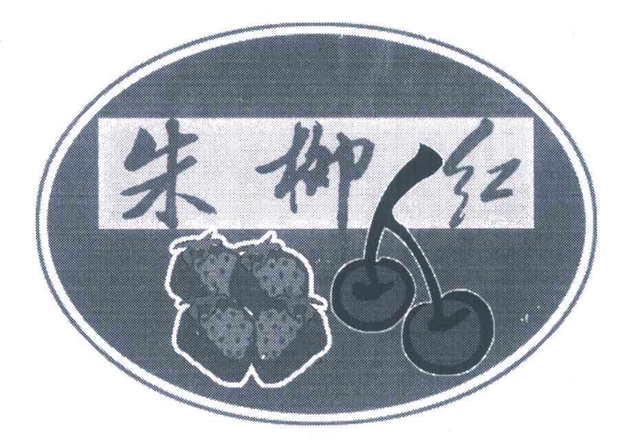 朱柳红