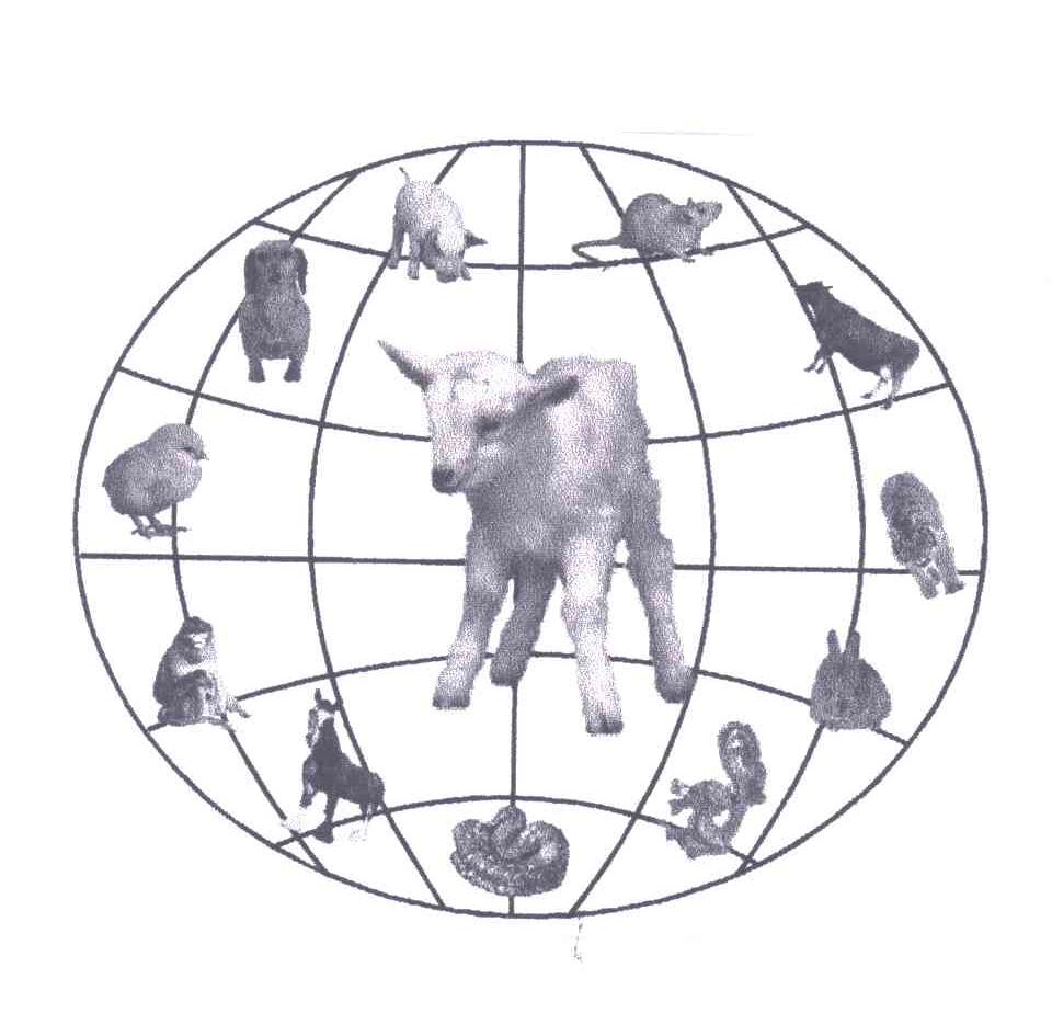图形
