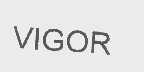 VIGOR