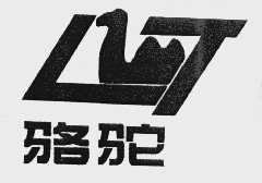 骆驼