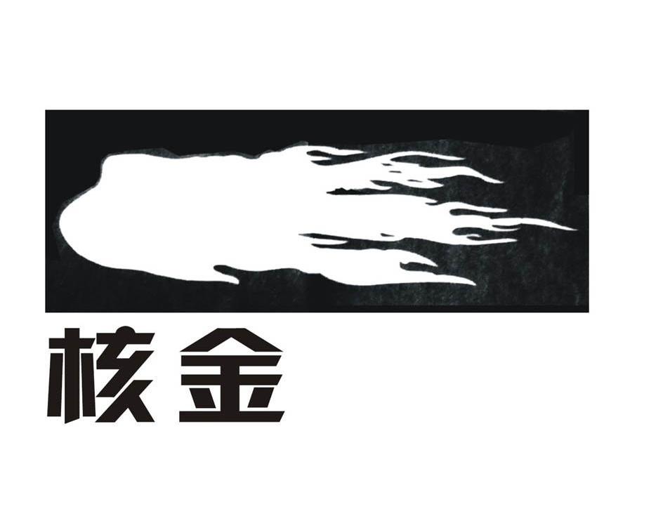 核金