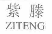 紫滕