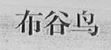 布谷鸟