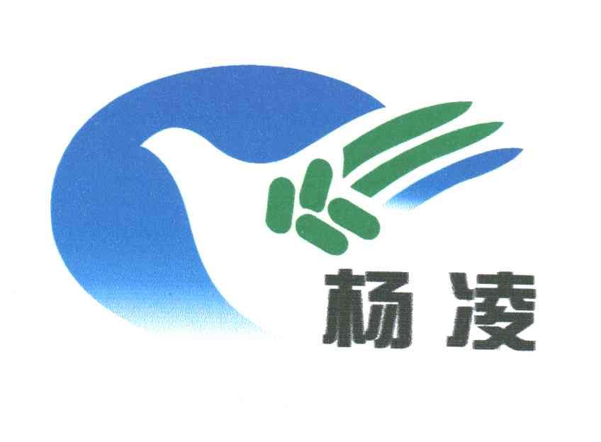 杨凌