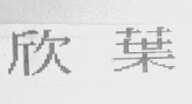 欣叶