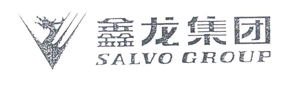 鑫龙集团;SALVO GROUP