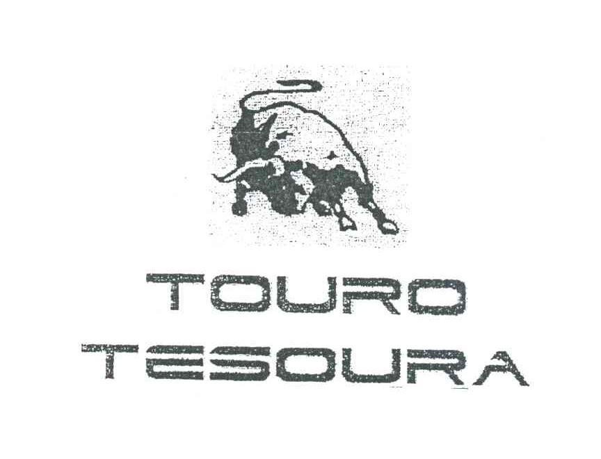 TOURO TESOURA