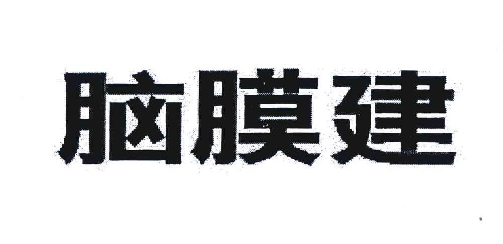脑膜建