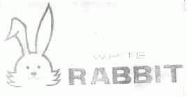 WHITE RABBIT