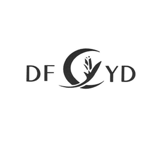 DFYD
