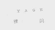 雅鸽