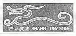 殷鼎宝龙;SHANG DRAGON