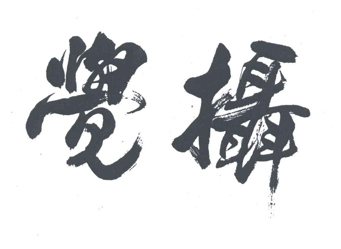 觉摄