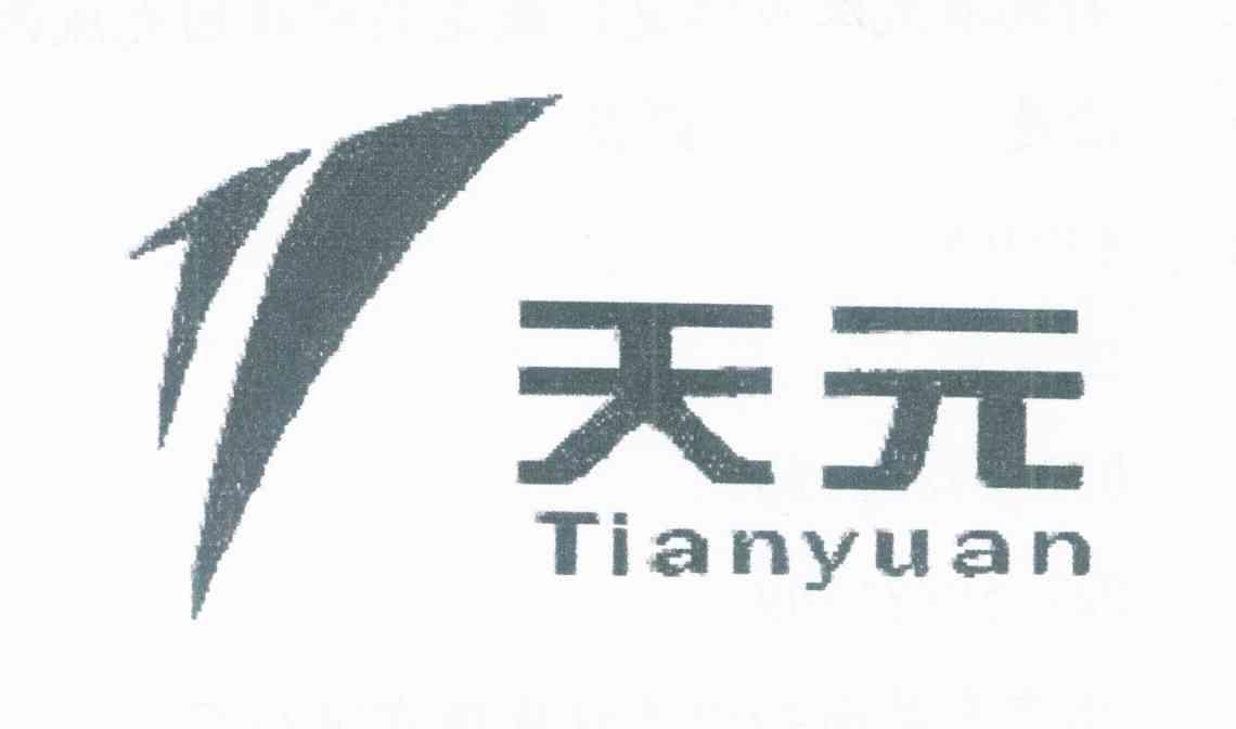 天元
