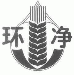 环净