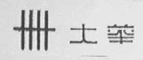 大华