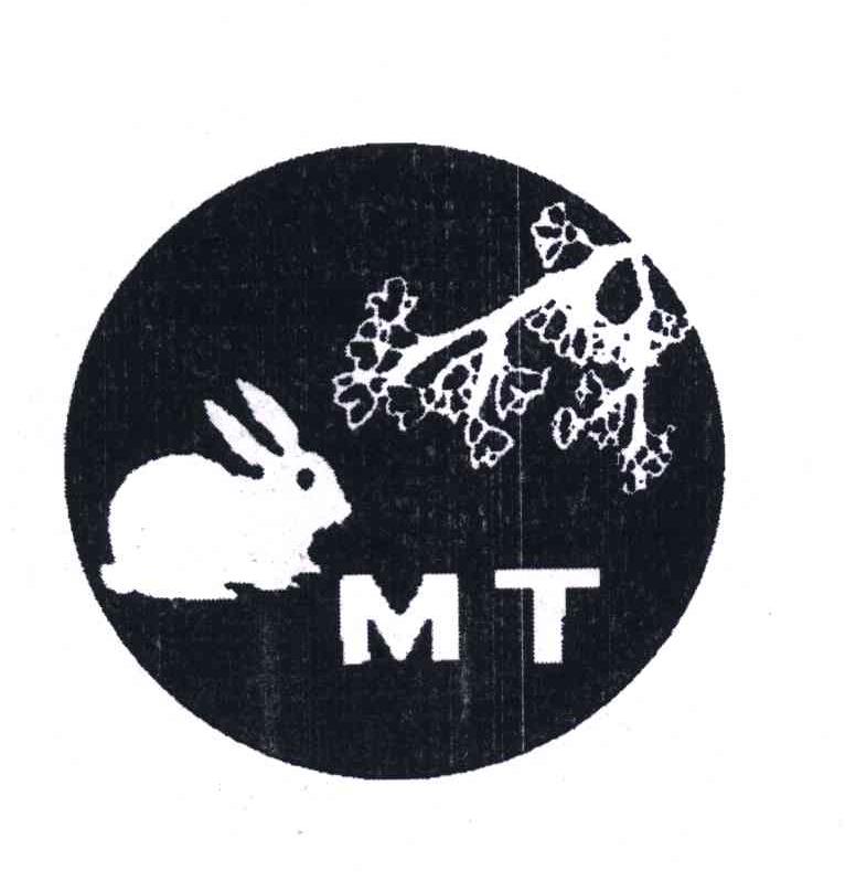 MT