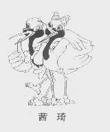 茜琦