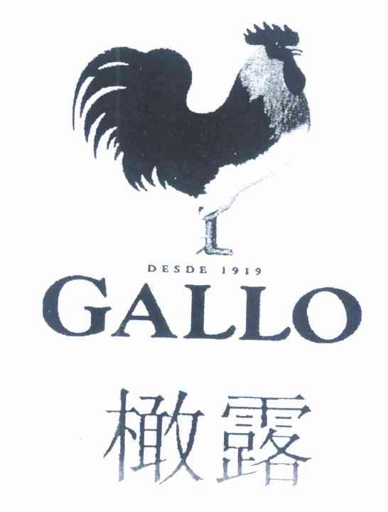 橄露 GALLO DESDE 1919