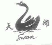 天鹅;SWAN