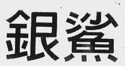 银鲨