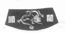 顺龙