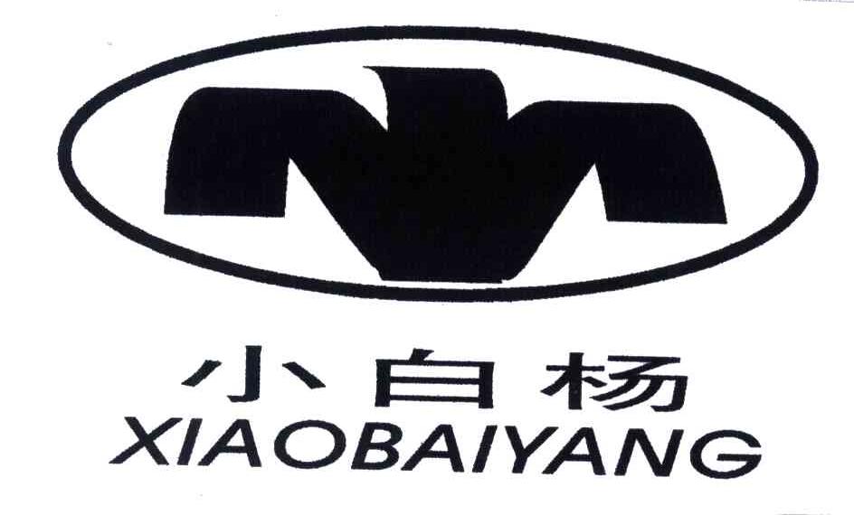 小白杨
