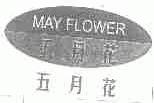 五月花;MAY FLOWER