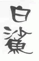 白鲨