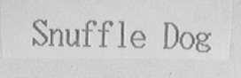 SNUFFLE DOG