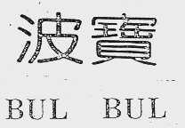 波宝 BUL BUL