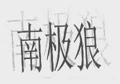 南极狼