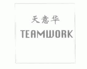 天意华;TEAMWORK