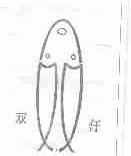 双仟