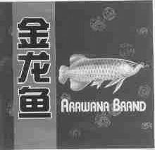 金龙鱼;ARAWANA