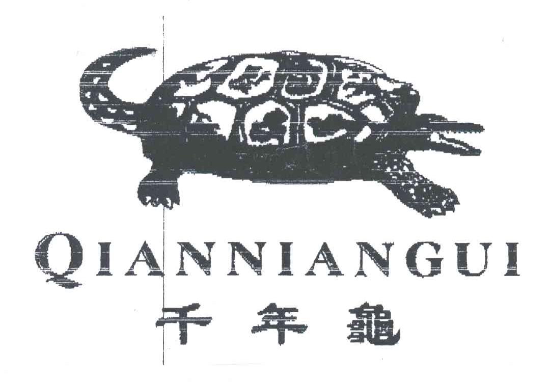 千年龟及图
