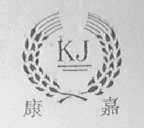 康嘉