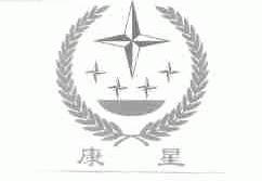 康星