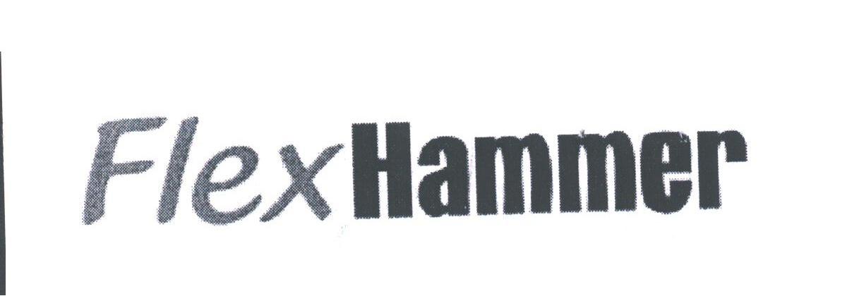 FLEXHAMMER