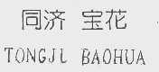 同济宝花   TONGJL BAOHUA