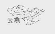云燕